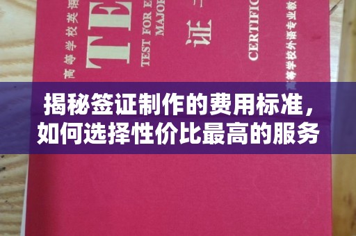 线西揭秘签证制作的费用标准，如何选择性价比最高的服务？