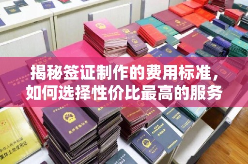 线西揭秘签证制作的费用标准，如何选择性价比最高的服务？