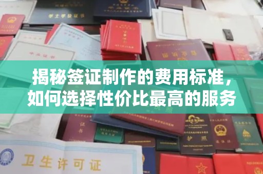 线西揭秘签证制作的费用标准，如何选择性价比最高的服务？