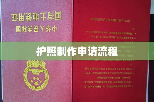 线西护照制作申请流程